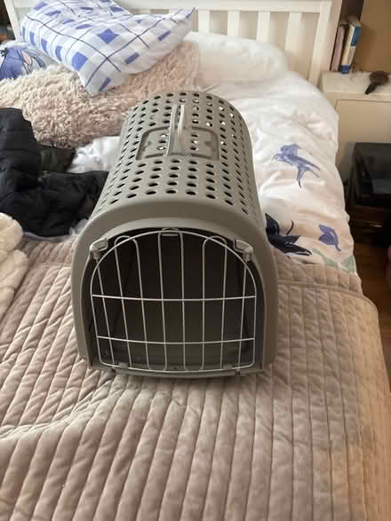 Photo of free Grey plastic cat carrier (Hanover, Brighton) #1