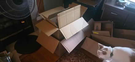Photo of free Cardboard Boxes (West Town Mall area) #1