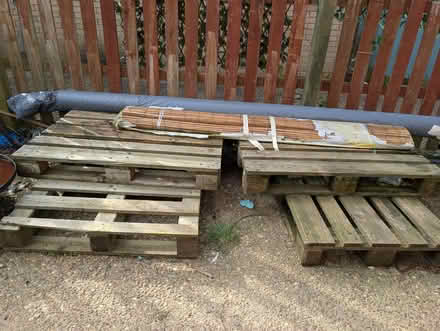 Photo of free Pallets (Shenley Lodge MK5) #1