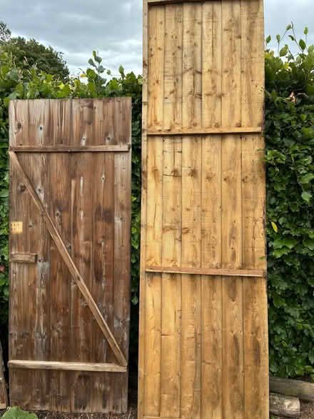 Photo of free Shed door and part panels (Cawton YO62) #1