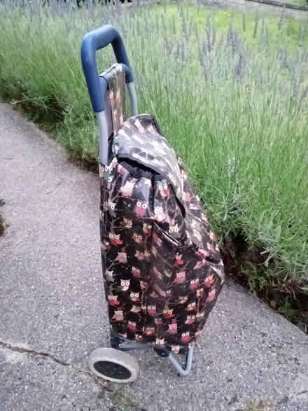 Photo of free 2-wheel shopping trolley (Barnet EN5) #1