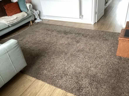Photo of free IKEA Rug (Horsey Hill NE34) #1