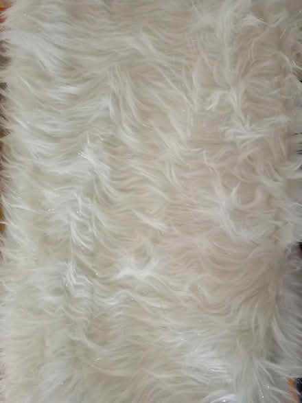 Photo of free Fluffy white bed throw (Barnet EN5) #1