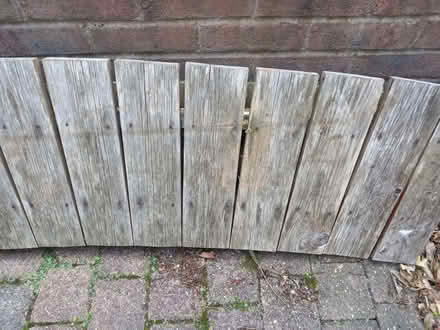 Photo of free Timber offcuts. (Knotty Ash L12) #1