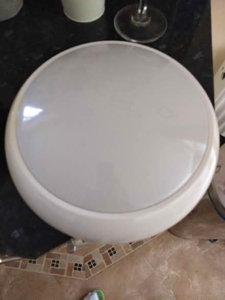 Photo of free Bathroom ceiling light (Brough CA17) #1