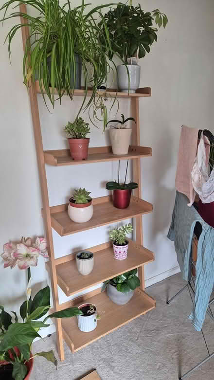 Photo of free Ladder shelf (Winchester) #1