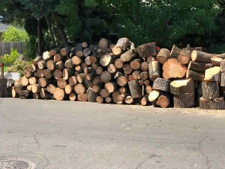 Photo of free Modesto Ash Fire Wood (703 Flint Way, Sacto, 95818) #2