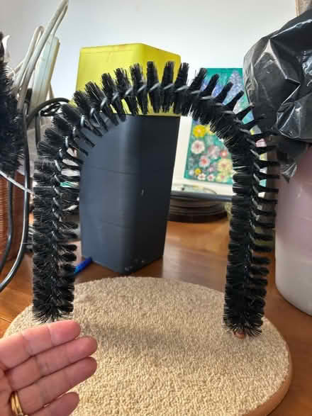 Photo of free Cat scratching hoop (Chapeltown S35) #1