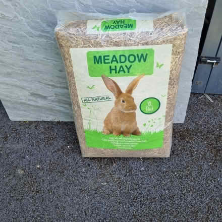 Photo of free Meadow hay (Dorking RH4) #1