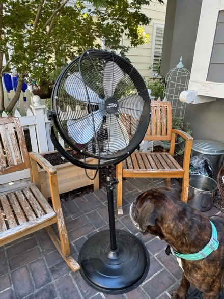 Photo of free Shop Fan - Pick Up Today (Downtown Campell) #1