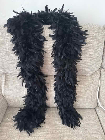 Photo of free Fashion #2 (L6 Tuebrook) #1