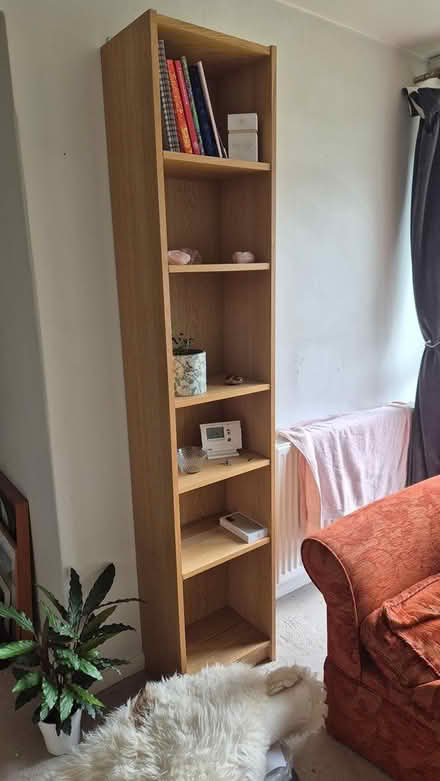 Photo of free Tall narrow bookshelf (Winchester) #1