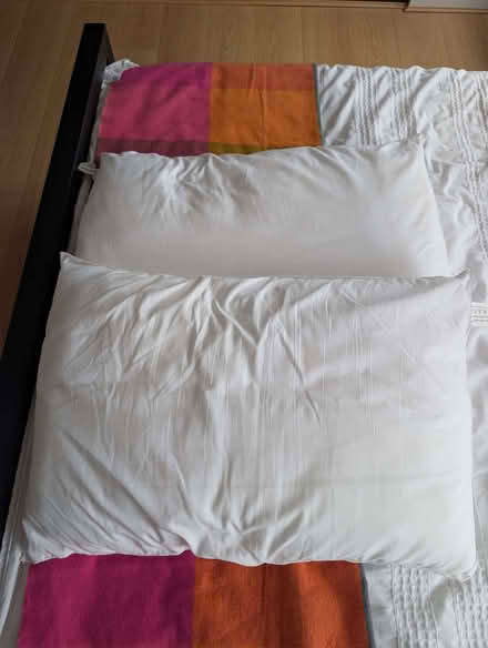 Photo of free 2 Firm, Clean Pillows (Wokingham RG40) #1