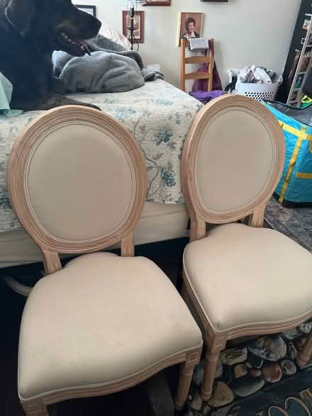 Photo of free Dining room chairs (West Mt Airy) #1