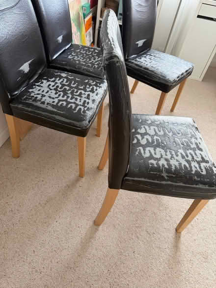 Photo of free Dining chairs (North Hinksey OX2) #1