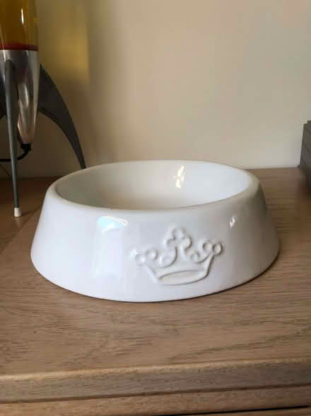 Photo of free Dog bowl (Theydon Bois CM16) #1