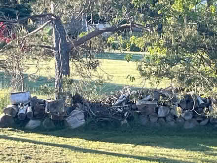 Photo of free Lots of cut wood for firepit (Stanhope) #1