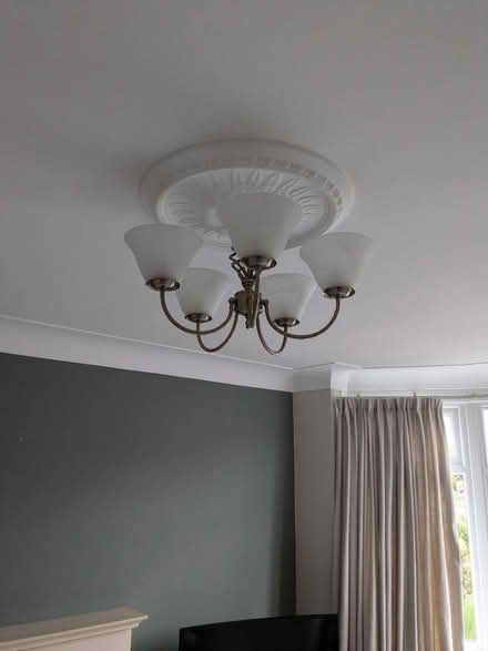 Photo of free Ceiling light (Bare LA4) #2