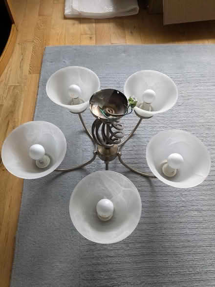 Photo of free Ceiling light (Bare LA4) #4