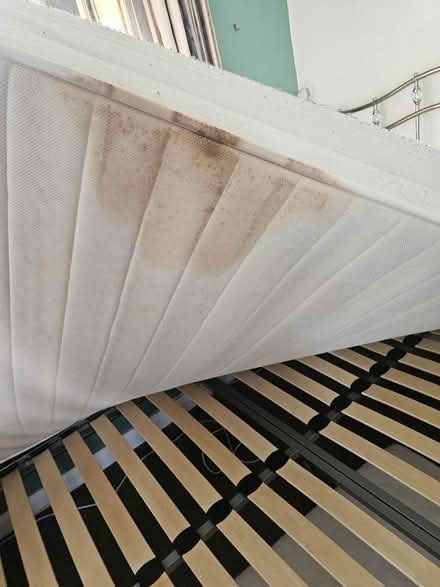 Photo of free European double mattress (Newport TF10) #2