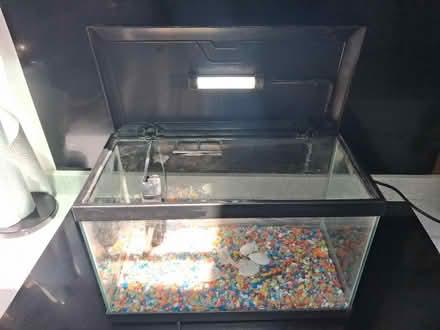 Photo of free Small fish tank (Ash Green, GU12) #4