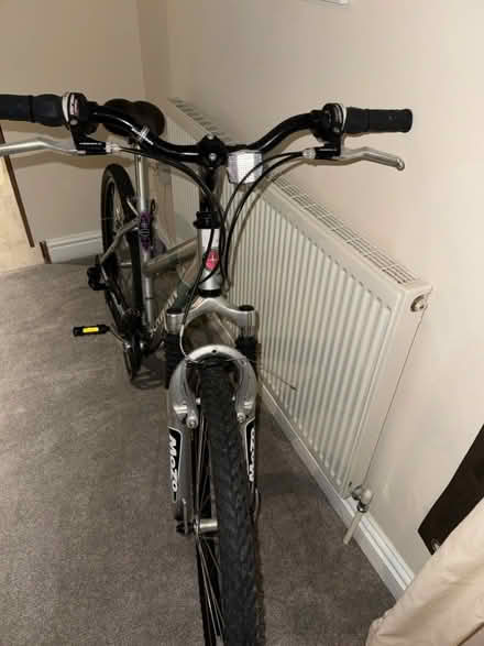 Photo of free Bicycle (Stamford Bridge YO41) #2