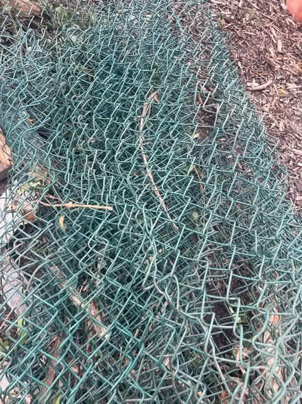 Photo of free Galvanised chainlink fencing (TW19) #4