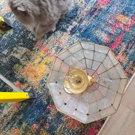 Photo of free Ceiling light (Old Town TN40) #4
