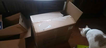 Photo of free Cardboard Boxes (West Town Mall area) #3