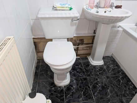 Photo of free Vintage shell style sink and toilet (Blantyre G72) #1