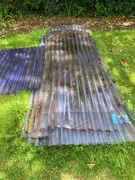 Photo of free Corrugated plastic roofing (CB3) #3