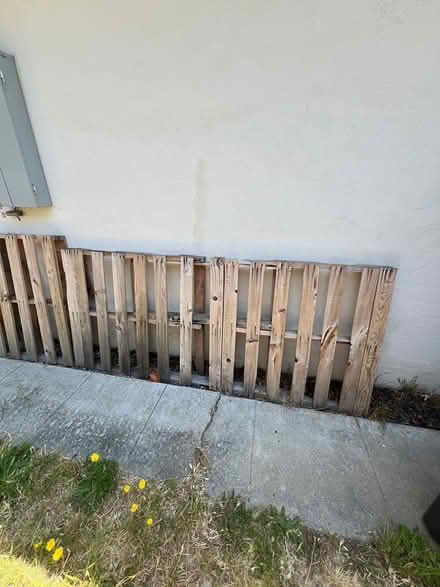 Photo of free Wooden pallets (Near Arroyo High) #1