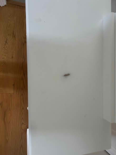 Photo of free Dressing table (Silverhill Park TN37) #2