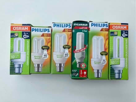 Photo of free Light bulbs (Westbury on Trym BS9) #1