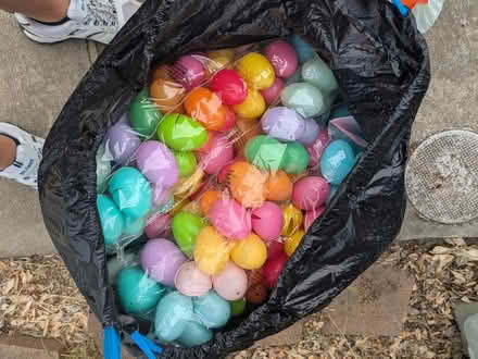 Photo of free Easter Eggs (Jason Court Vallejo) #1