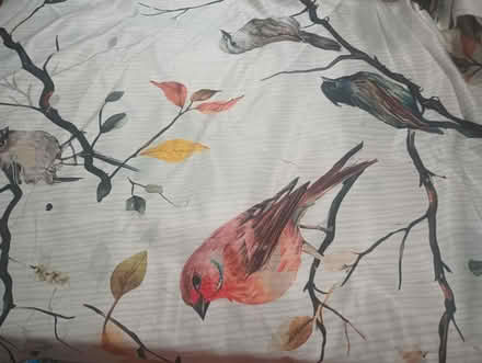 Photo of free Tablecloths (Tinton Falls, NJ) #4