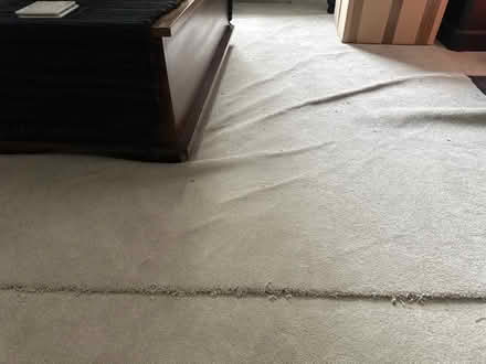 Photo of free Scrap Carpeting: Large Piece, NEW (Camden Town NW1) #1