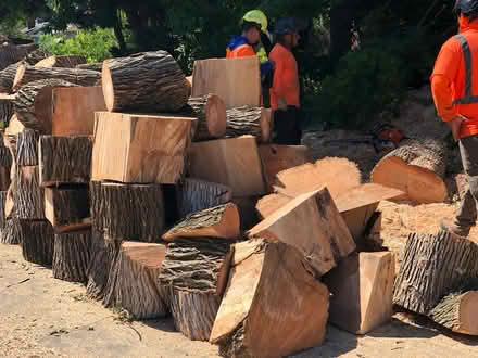 Photo of free Modesto Ash Fire Wood (703 Flint Way, Sacto, 95818) #3