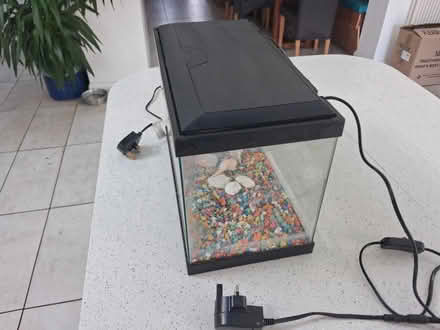 Photo of free Small fish tank (Ash Green, GU12) #2