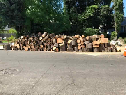 Photo of free Modesto Ash Fire Wood (703 Flint Way, Sacto, 95818) #1