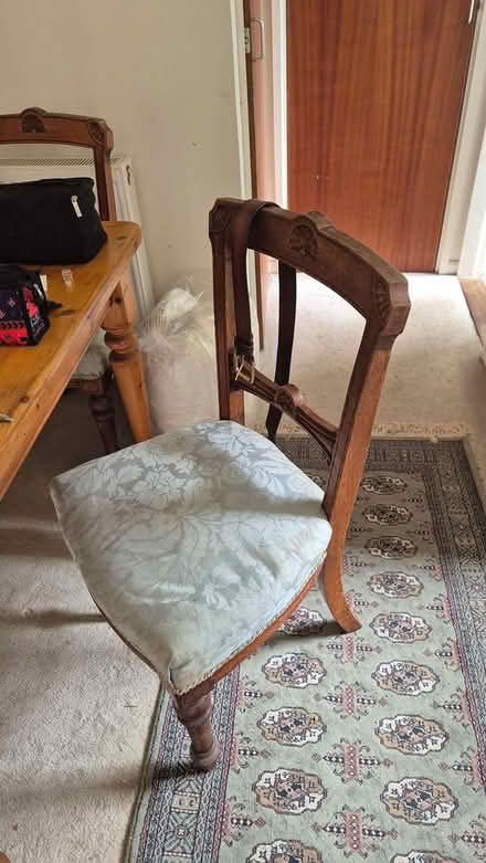 Photo of free 4 dining chairs (Winchester) #1
