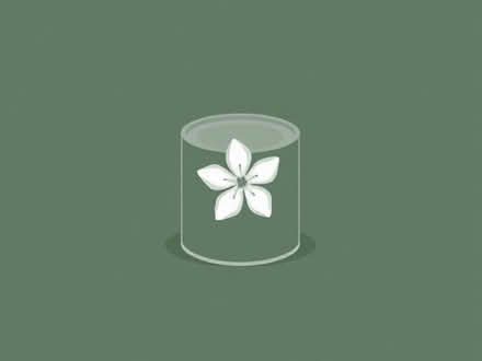 Photo of Magnolia paint (Ashmore Park WV11) #1