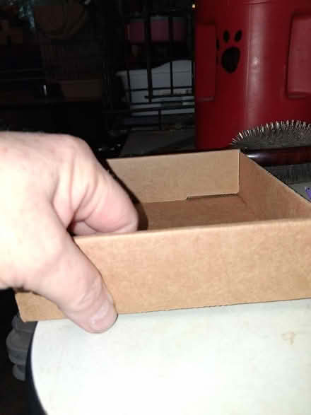 Photo of free Small cardboard trays (Montgomery il) #3
