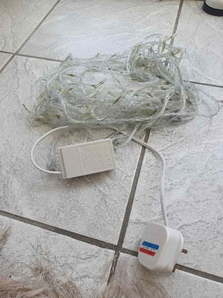 Photo of free Plug in Christmas lights. (Elstow MK42) #1