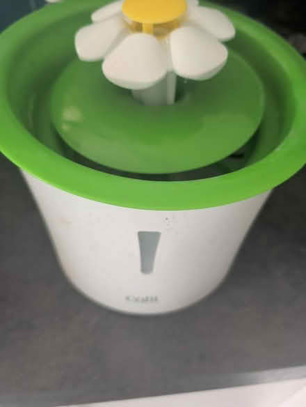 Photo of free Cat water fountain (Hertford SG13) #1
