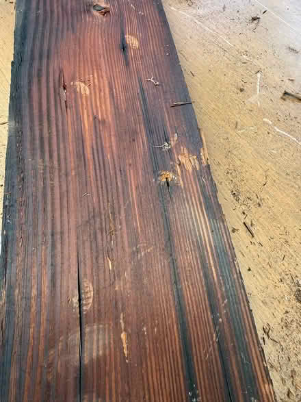 Photo of free 120 year old nail embedded wood (Midtown Sacramento 95816) #4