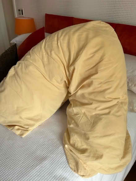 Photo of free Orthopaedic pillow (Buckshaw Village PR7) #1