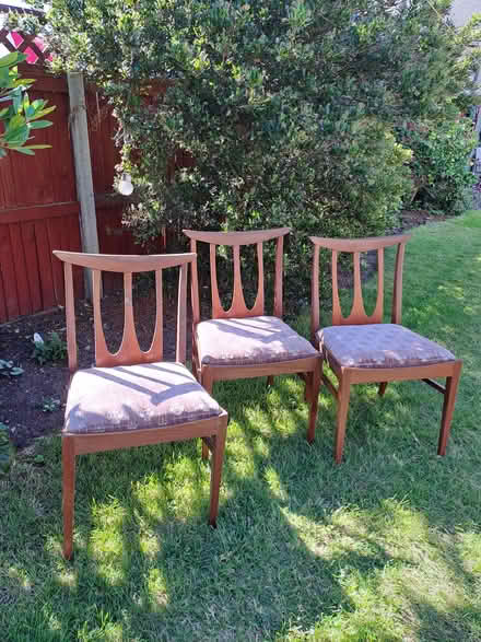 Photo of free Three dining chairs (Bexley DA5) #2