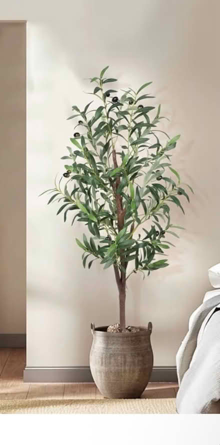Photo of Artificial plant (Hollignton house TQ1) #1