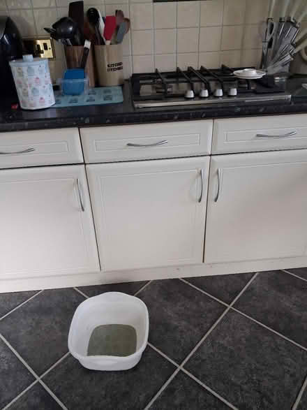 Photo of free Kitchen doors and drawer fronts (totton SO40) #2